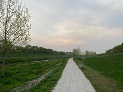 -洨河生态公园