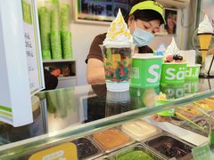 -Salud撒露欧洲冻酸奶(蓝色港湾店)