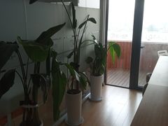 -语朵教育·日韩德法留学(曹杨校区)