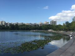 -新江湾城公园
