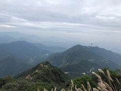 -梧桐山风景名胜区
