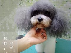 -瑞鹏宠物医院·骨科·猫科·内科(第一中心)