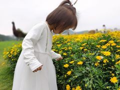 -光明小镇欢乐田园