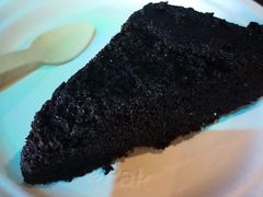 -凯莉-塔尔敦海洋生物水族馆
