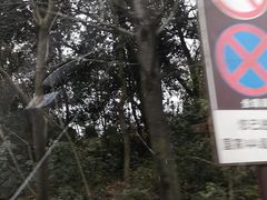 -良渚君澜度假酒店·中餐厅