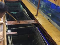-蓝湾碧波·老字号·疍家非遗海上餐厅