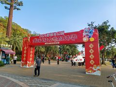 -野狸岛