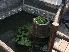 -慢丽江·云南野生菌土鸡锅(西山店)