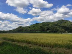 -岚山嵯峨野观光小火车