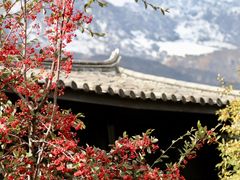 -玉湖村