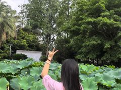 -三圣花乡旅游区