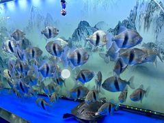 -大明湖海底世界