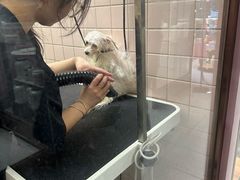 -FAELING PETS美天灵宠物(富力广场店)