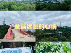 -金鸡山公园