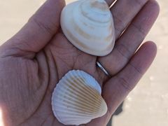 -后海村