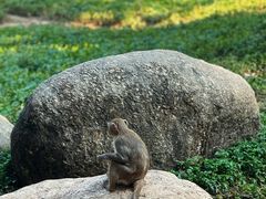 -广州长隆野生动物世界