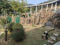 -大连森林动物园