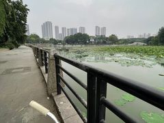 -古琴台