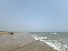 -日照海滨国家森林公园