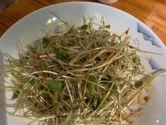 燕青荞麦菜-兴农记