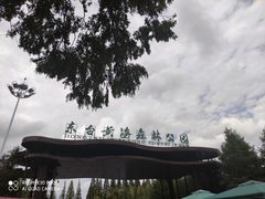 -黄海国家森林公园