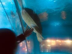 -北国之春国宴(乌兰察布店)