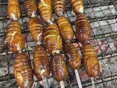 -土灶台东北大块肉烧烤(风景城邦店)