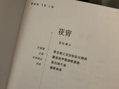 -新加坡航空公司(ION)