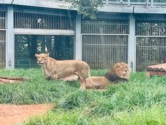 -昆明动物园