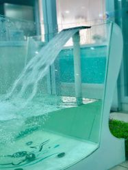 -鱼乐贝贝婴幼儿水育馆(星汇广场店)