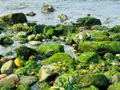 -银沙滩浴场