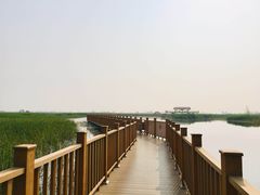 -白洋淀景区
