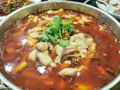 -重庆火锅水库鱼庄(南油店)