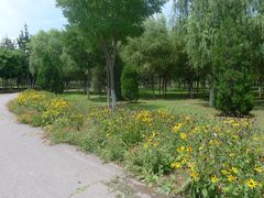 -永定河休闲森林公园