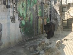 -黔灵山公园