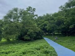 -艾溪湖湿地公园