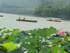 -湖畔居茶楼(湖滨店)