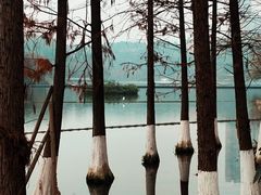-重庆彩云湖湿地公园