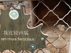 -意大利农场度假村