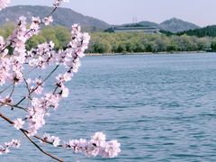 -颐和园