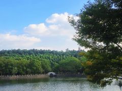 -九龙潭景区