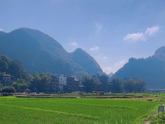 -靖西鹅泉风景区