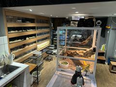 -酷以爬仙阁实体爬宠店·守宫·蜥蜴·专业繁育