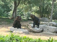 -北京野生动物园