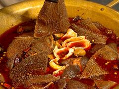 -茅庐毛血旺(济南印象城店)