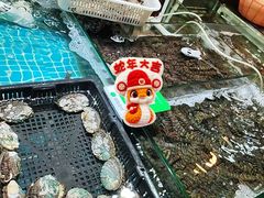 -朝陽市場