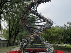 -北京麋鹿生态实验中心