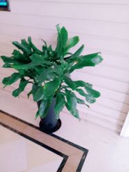 -安琪儿妇产医院·医养月子中心