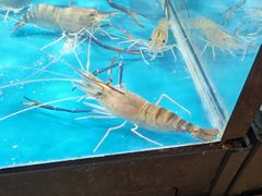 -伊藤洋华堂(温江店)