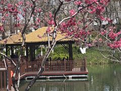 -圩墩遗址公园